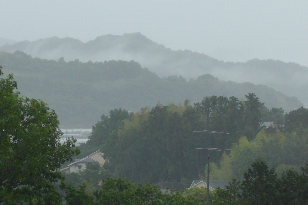 P1150865　雨の風景