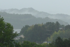 P1150865　雨の風景
