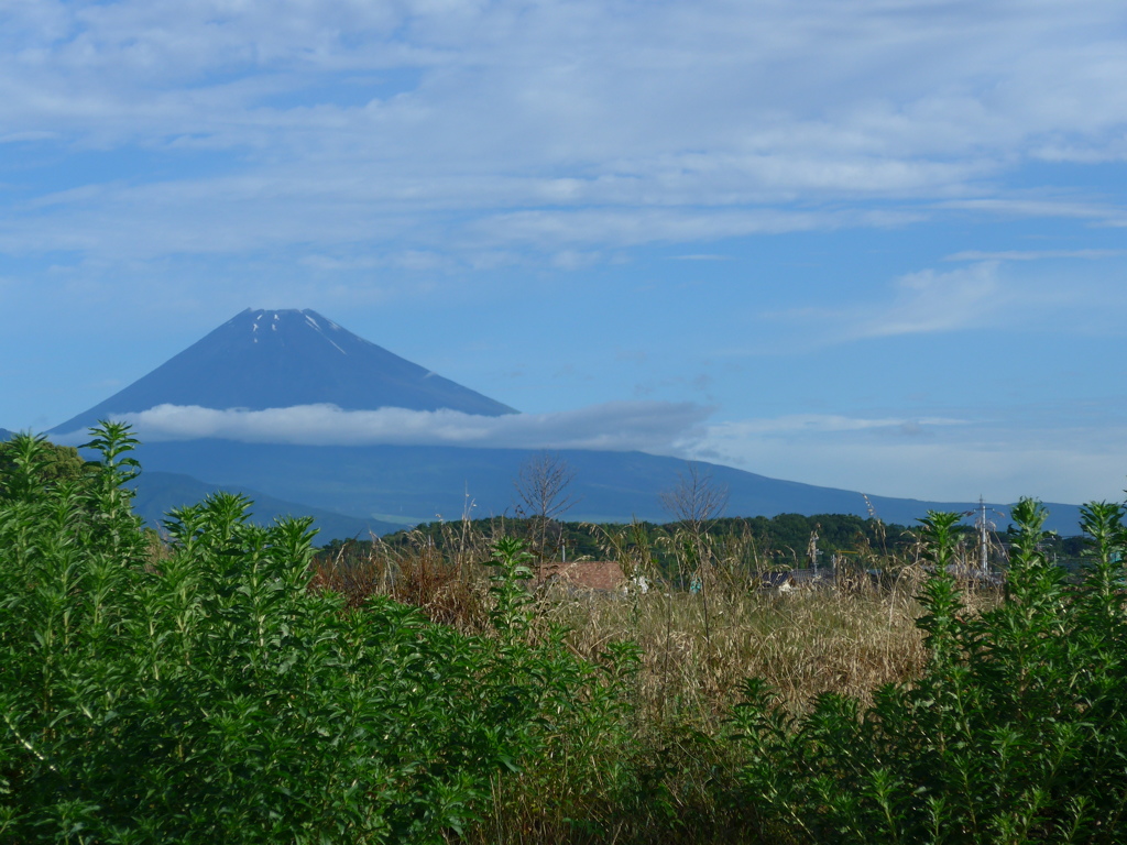 P1100345　6月19日 朝の富士山