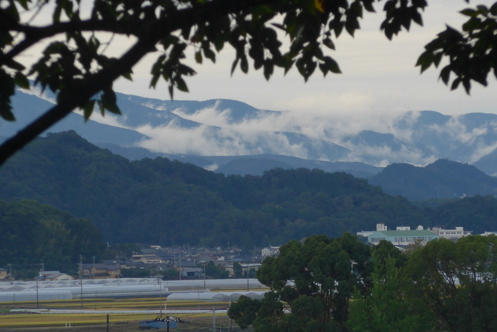 P1250171　朝の風景