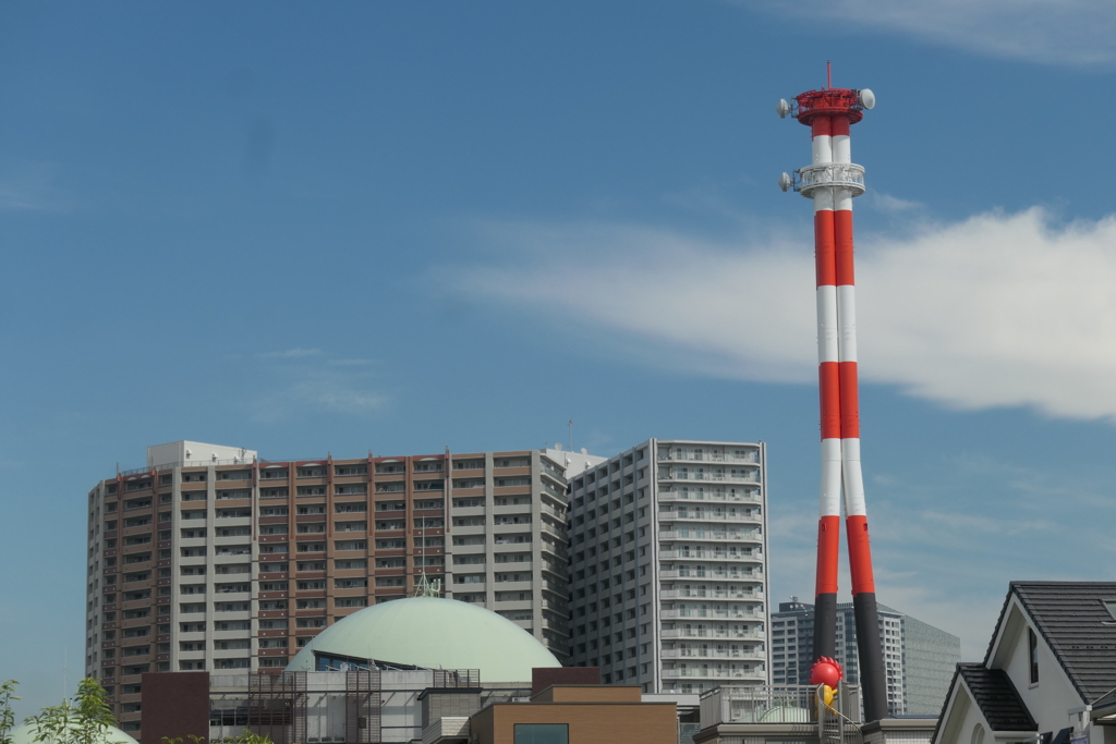 P1057016　横浜イングリッシュガーデン帰路にて