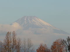 今朝の富士山
