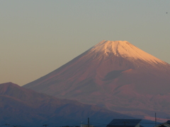 P1120526　11月15日 今朝の富士山