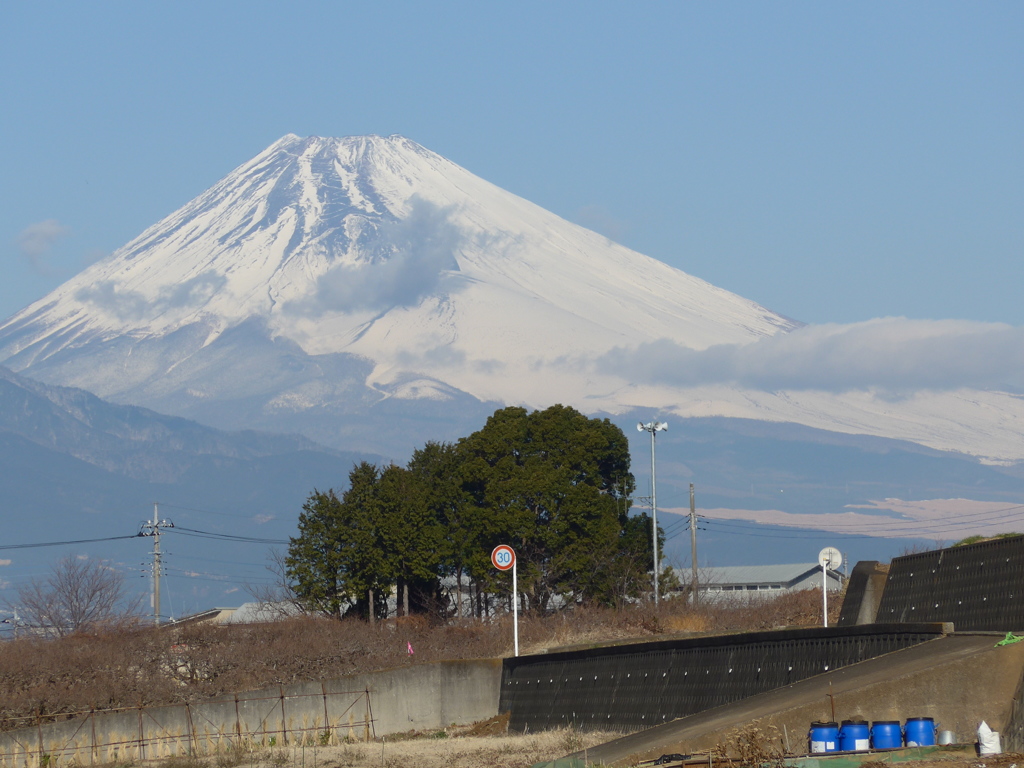 P1070187　１月31日 今日の富士山