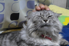 …ん…しあわせ…