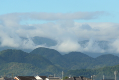 P1360763     雨上がりの朝