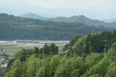 P1080502　里の夏
