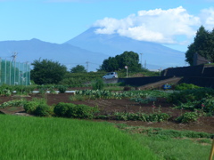 富士の見える風景