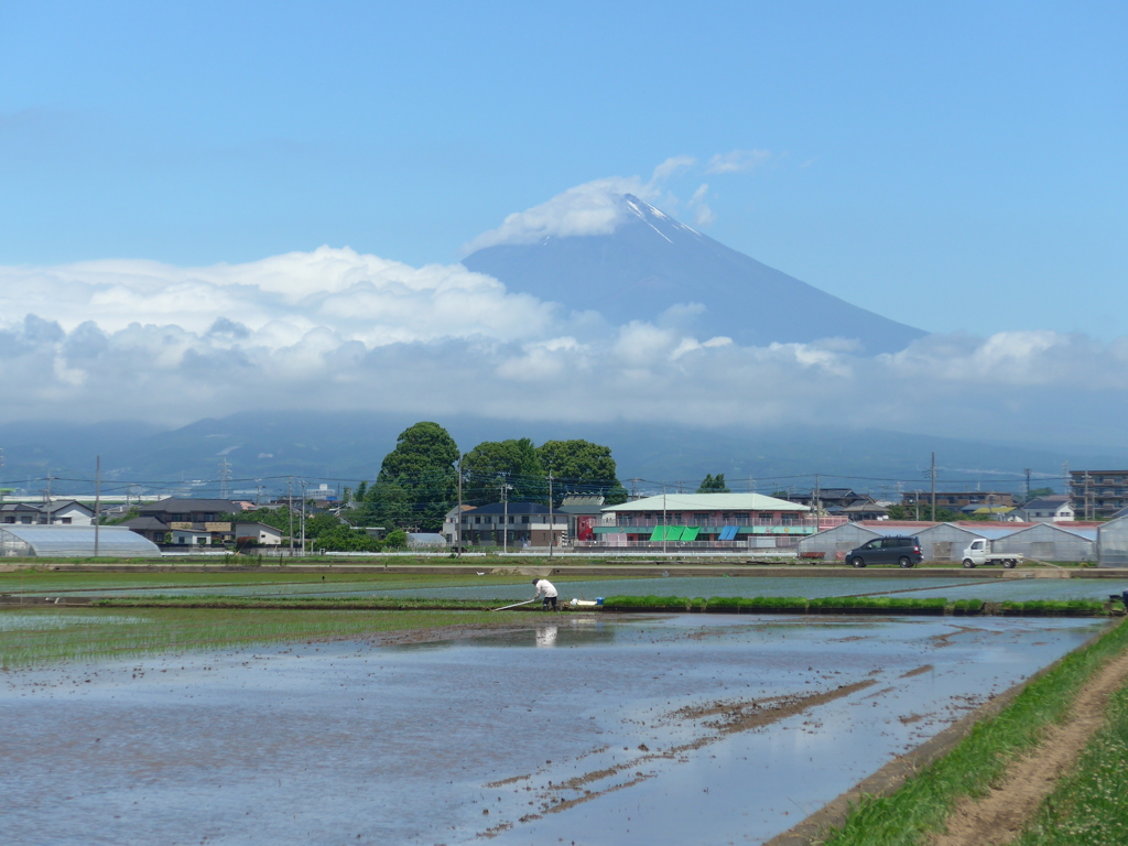 P1100164　田植えの頃