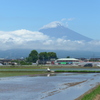 P1100164　田植えの頃