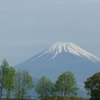 P1080994　若葉の木立と富士山