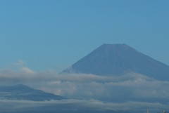 P1180500　10月9日 今朝の富士山