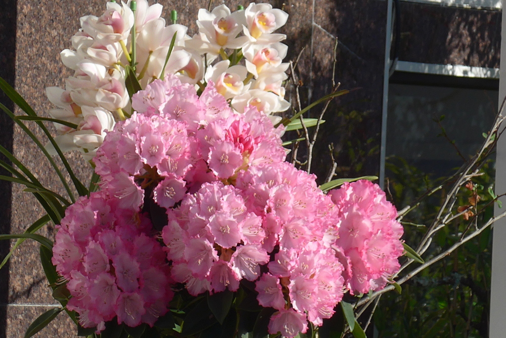 P1200740　あるお店の前で