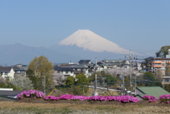 P1380103　4月9日 今朝の富士山