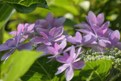 P1012090　ダンスの後で