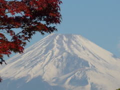 12月05日　朝の富士山