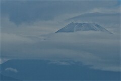 P1270671 (2)　6月17日 今朝の富士山