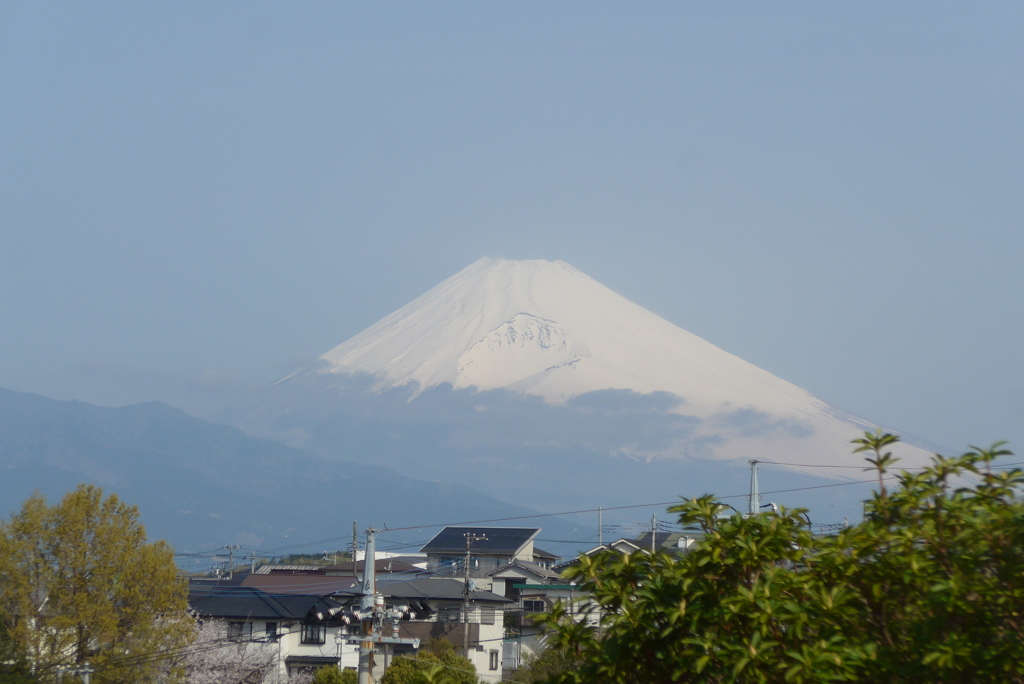 P1380078　4月8日 今朝の富士山