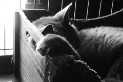 P1069151　眠る