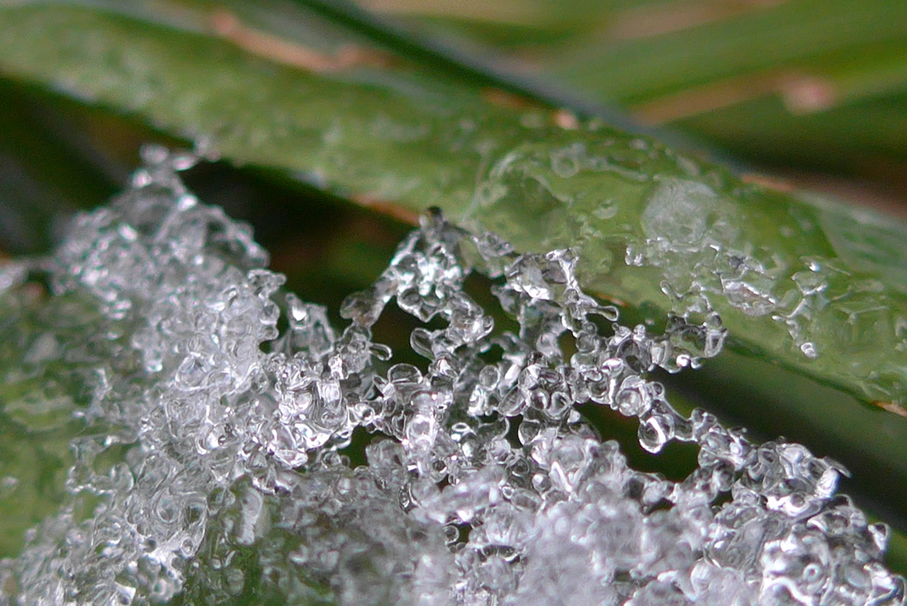 P1070115　雪…