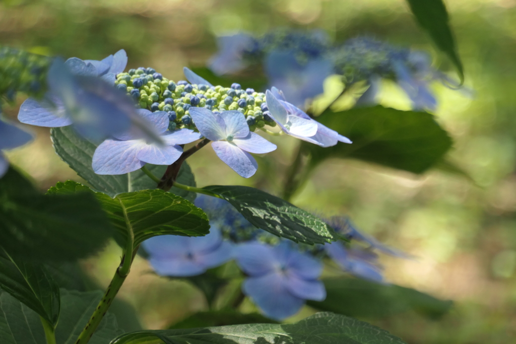 P1012312　いつもの公園で
