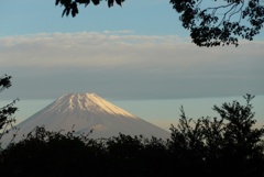 P1190046　11月8日 今朝の富士山