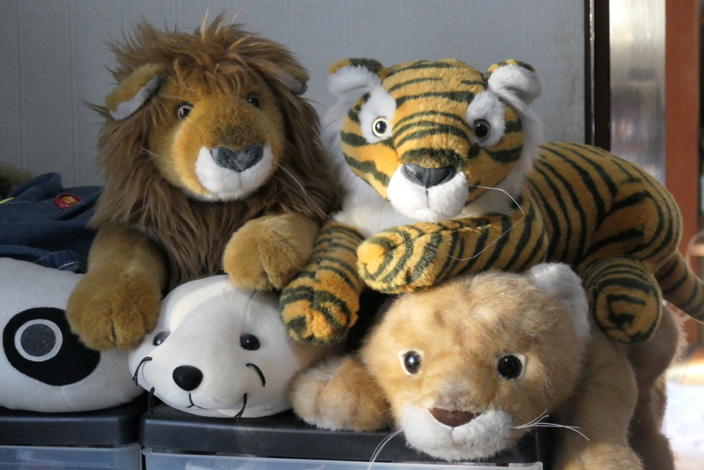 P1000130　思い出