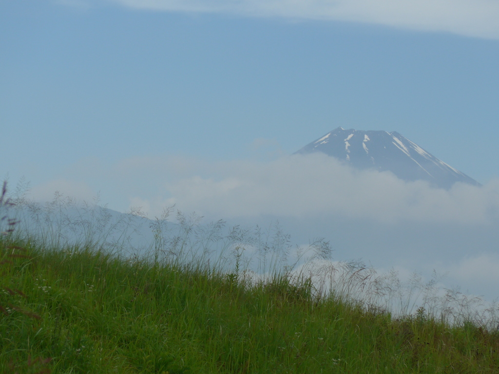 P1100060　夏草と富士