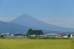P1240767　9月22日 今日の富士山