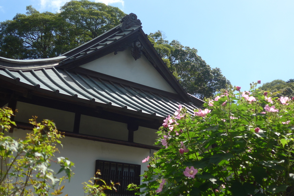 P1330982　伊豆高源寺