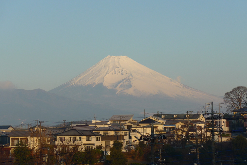 P1190720　1月13日 朝日の当たる町と富士山