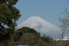 P1057782　3月30日 今朝の富士山