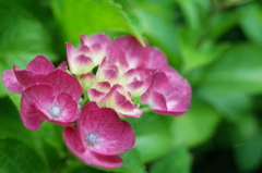 R0353211　初めまして