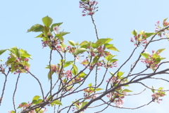 P1380286　終演