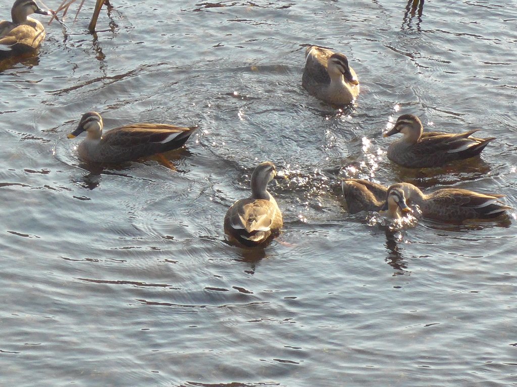 ん？なになに…？