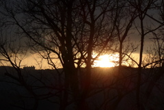 P1290190　日の出