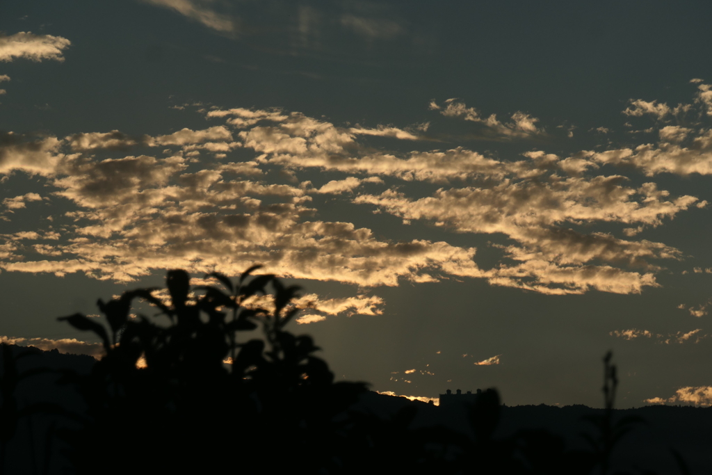 P1080941　ある朝の空