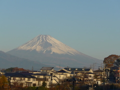 朝日のあたる町と富士山