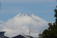 P1340791　1月19日 今日の富士山