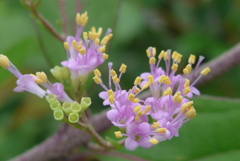 P1270684　