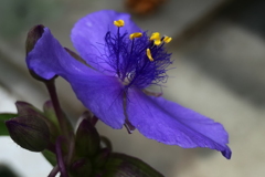 P1012589