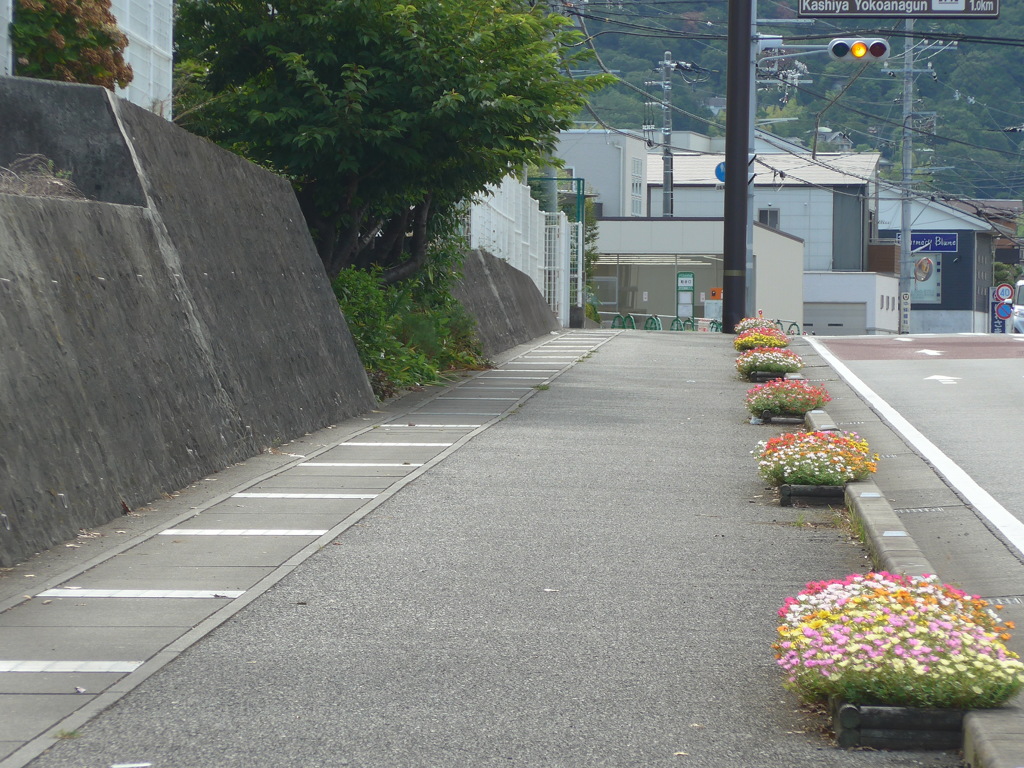 P1100957　花の歩道