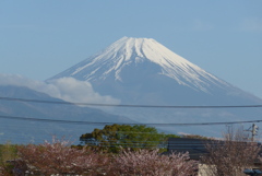 P1260671　4月6日 今朝の富士山