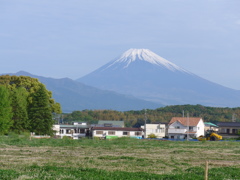 P1080990　野原と富士山