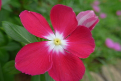 P1110002　むすめさん