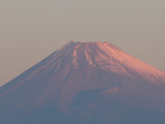 今朝の富士山