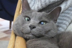 P1069671　わたちがいちばんえらいの(=^・^=)
