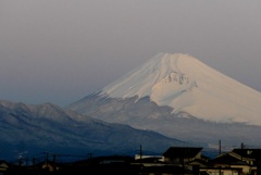 P1190766　1月19日 今朝の富士山