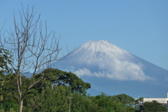 P1240836　9月28日 今朝の富士山
