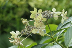 P1080628　終章